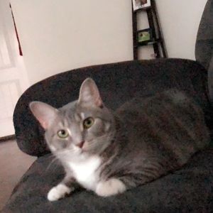 Meet your Posher, Sonia